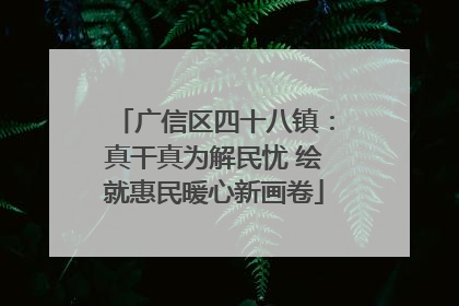 广信区四十八镇：真干真为解民忧 绘就惠民暖心新画卷