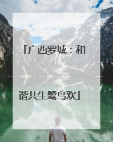 广西罗城：和谐共生鹭鸟欢