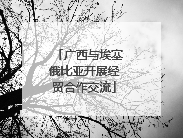 广西与埃塞俄比亚开展经贸合作交流