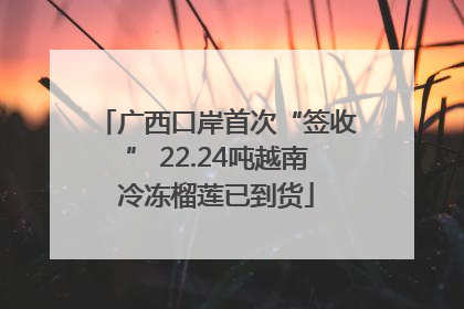 广西口岸首次“签收” 22.24吨越南冷冻榴莲已到货