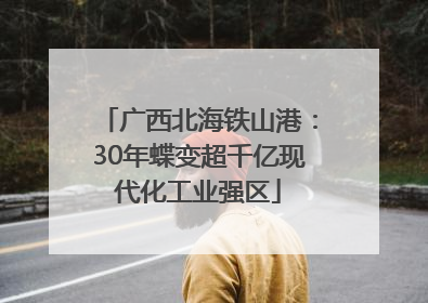 广西北海铁山港：30年蝶变超千亿现代化工业强区