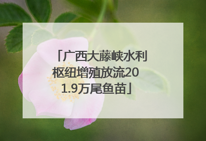 广西大藤峡水利枢纽增殖放流201.9万尾鱼苗