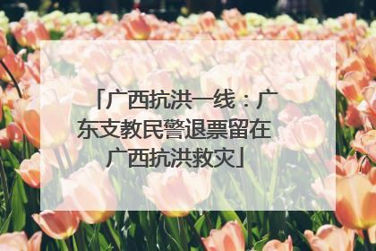 广西抗洪一线：广东支教民警退票留在广西抗洪救灾