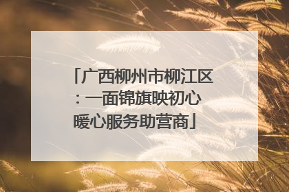 广西柳州市柳江区：一面锦旗映初心 暖心服务助营商