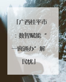 广西桂平市：数智赋能“一窗通办”解民忧