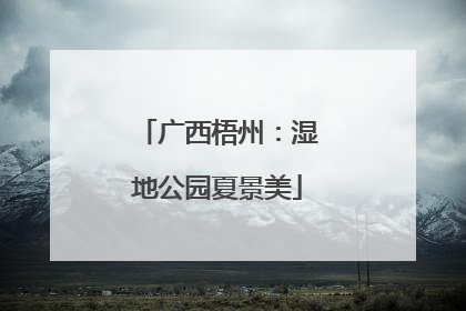 广西梧州：湿地公园夏景美