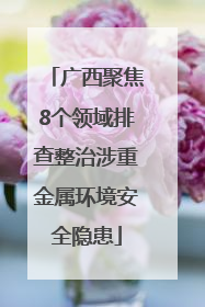 广西聚焦8个领域排查整治涉重金属环境安全隐患
