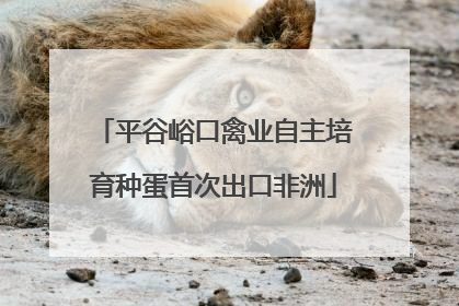 平谷峪口禽业自主培育种蛋首次出口非洲