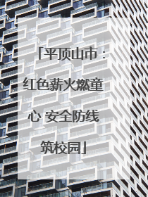 平顶山市：红色薪火燃童心 安全防线筑校园