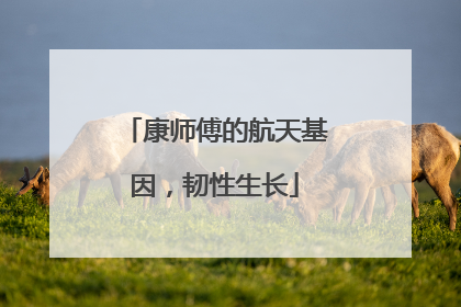 康师傅的航天基因，韧性生长