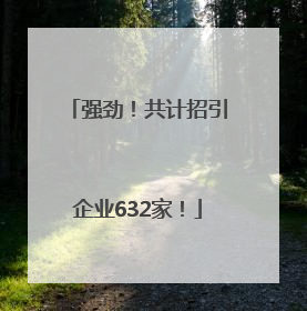 强劲！共计招引企业632家！