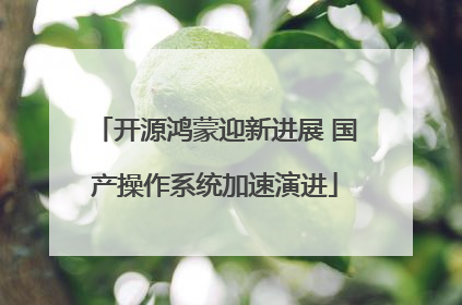 开源鸿蒙迎新进展 国产操作系统加速演进