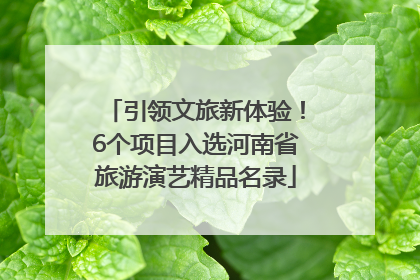 引领文旅新体验！6个项目入选河南省旅游演艺精品名录