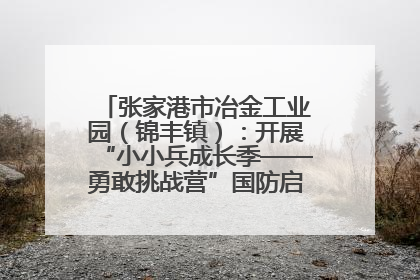 张家港市冶金工业园（锦丰镇）：开展“小小兵成长季——勇敢挑战营”国防启蒙教育活动