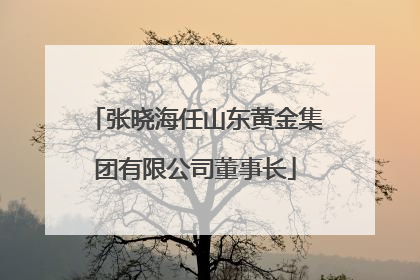 张晓海任山东黄金集团有限公司董事长