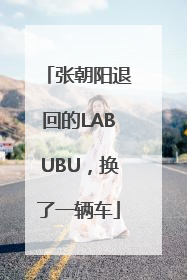 张朝阳退回的LABUBU，换了一辆车