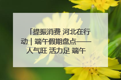 提振消费 河北在行动｜端午假期盘点——人气旺 活力足 端午经济“热浪”迭起