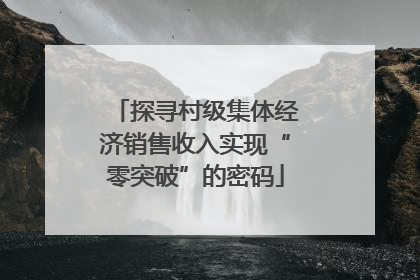 探寻村级集体经济销售收入实现“零突破”的密码