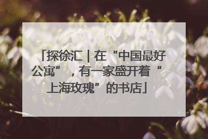 探徐汇｜在“中国最好公寓”，有一家盛开着“上海玫瑰”的书店