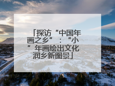探访“中国年画之乡”：“小”年画绘出文化润乡新图景