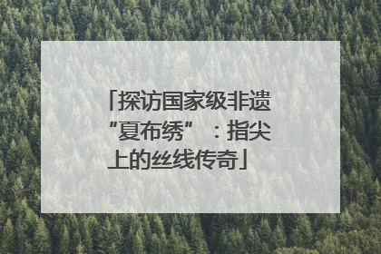 探访国家级非遗“夏布绣”：指尖上的丝线传奇