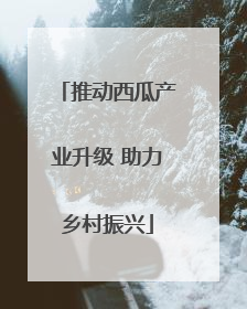 推动西瓜产业升级 助力乡村振兴