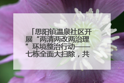 思阳镇温泉社区开展“两清两改两治理”环境整治行动——七栋全面大扫除，共建洁净家园