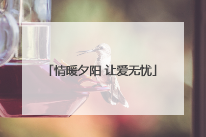 情暖夕阳 让爱无忧