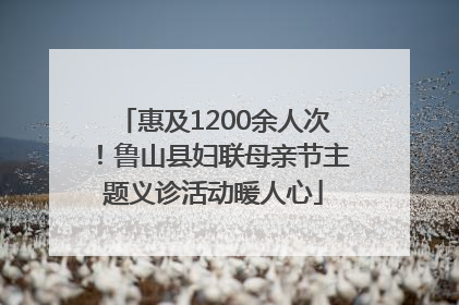 惠及1200余人次！鲁山县妇联母亲节主题义诊活动暖人心