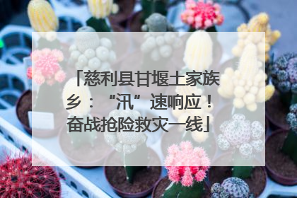 慈利县甘堰土家族乡：“汛”速响应！奋战抢险救灾一线
