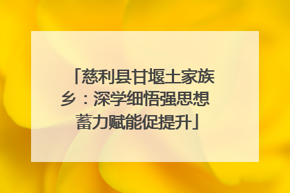 慈利县甘堰土家族乡：深学细悟强思想 蓄力赋能促提升