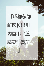 成都东部新区长出川内首串“蓝精灵”番茄