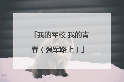 我的军校 我的青春（强军路上）