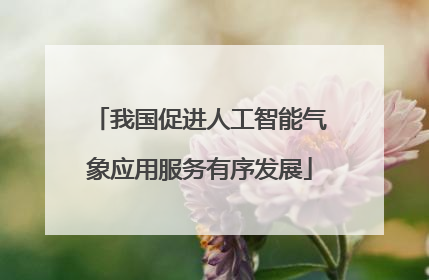我国促进人工智能气象应用服务有序发展