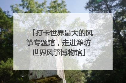 打卡世界最大的风筝专题馆，走进潍坊世界风筝博物馆