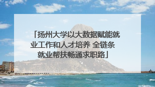 扬州大学以大数据赋能就业工作和人才培养 全链条就业帮扶畅通求职路