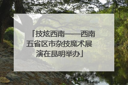 技炫西南——西南五省区市杂技魔术展演在昆明举办