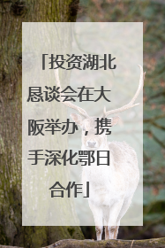投资湖北恳谈会在大阪举办，携手深化鄂日合作