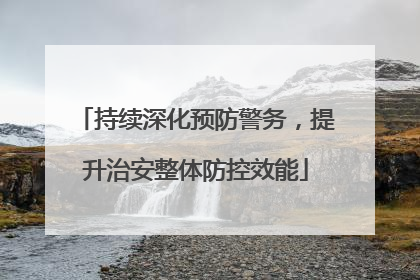 持续深化预防警务，提升治安整体防控效能