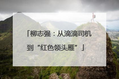 柳志强：从滴滴司机到“红色领头雁”