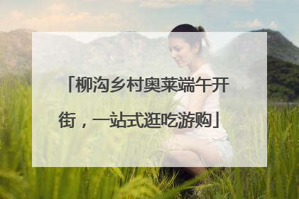 柳沟乡村奥莱端午开街，一站式逛吃游购