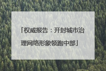 权威报告：开封城市治理网络形象领跑中部