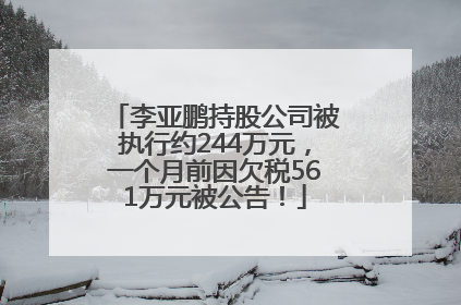 李亚鹏持股公司被执行约244万元，一个月前因欠税561万元被公告！