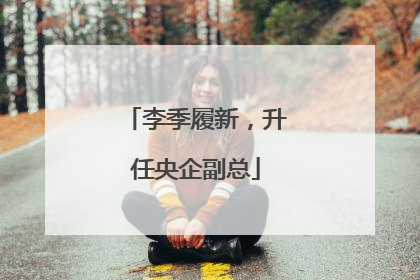李季履新，升任央企副总