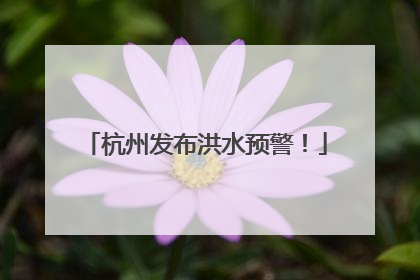 杭州发布洪水预警！