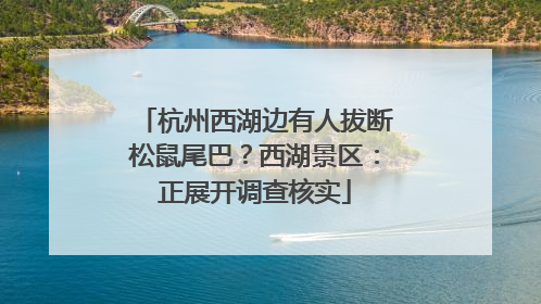 杭州西湖边有人拔断松鼠尾巴？西湖景区：正展开调查核实
