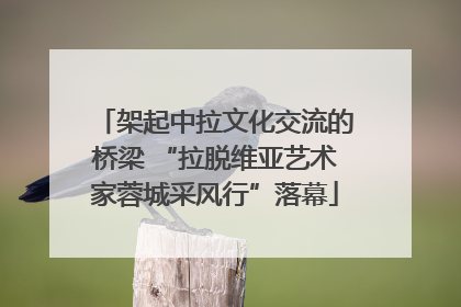 架起中拉文化交流的桥梁 “拉脱维亚艺术家蓉城采风行”落幕