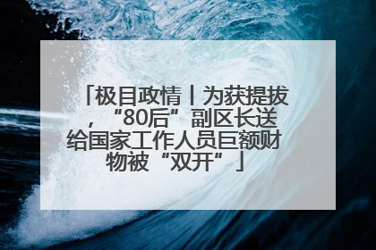 极目政情丨为获提拔，“80后”副区长送给国家工作人员巨额财物被“双开”
