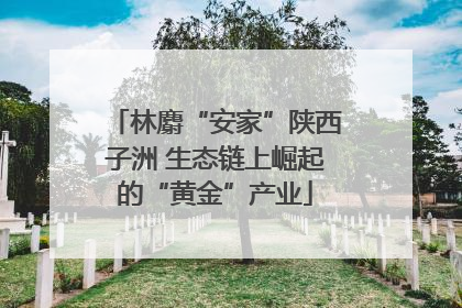 林麝“安家”陕西子洲 生态链上崛起的“黄金”产业