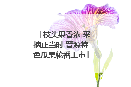 枝头果香浓 采摘正当时 晋源特色瓜果轮番上市